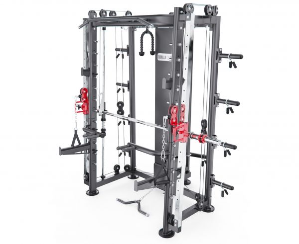 Мультистанция, машина Смита DFC Gorilla Sport 822